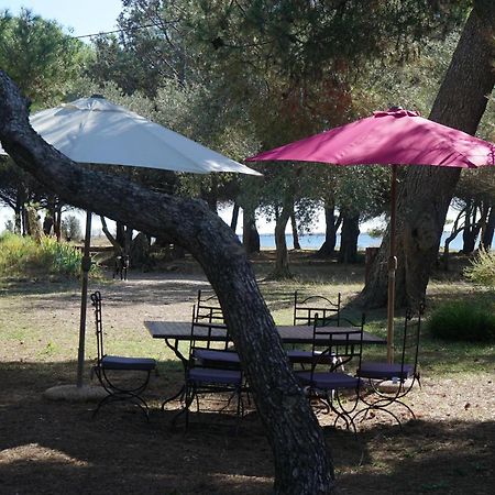 הוילה מרסיאן Joli Mas Au Bord De L'Etang De Thau מראה חיצוני תמונה