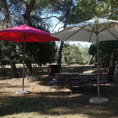הוילה מרסיאן Joli Mas Au Bord De L'Etang De Thau מראה חיצוני תמונה