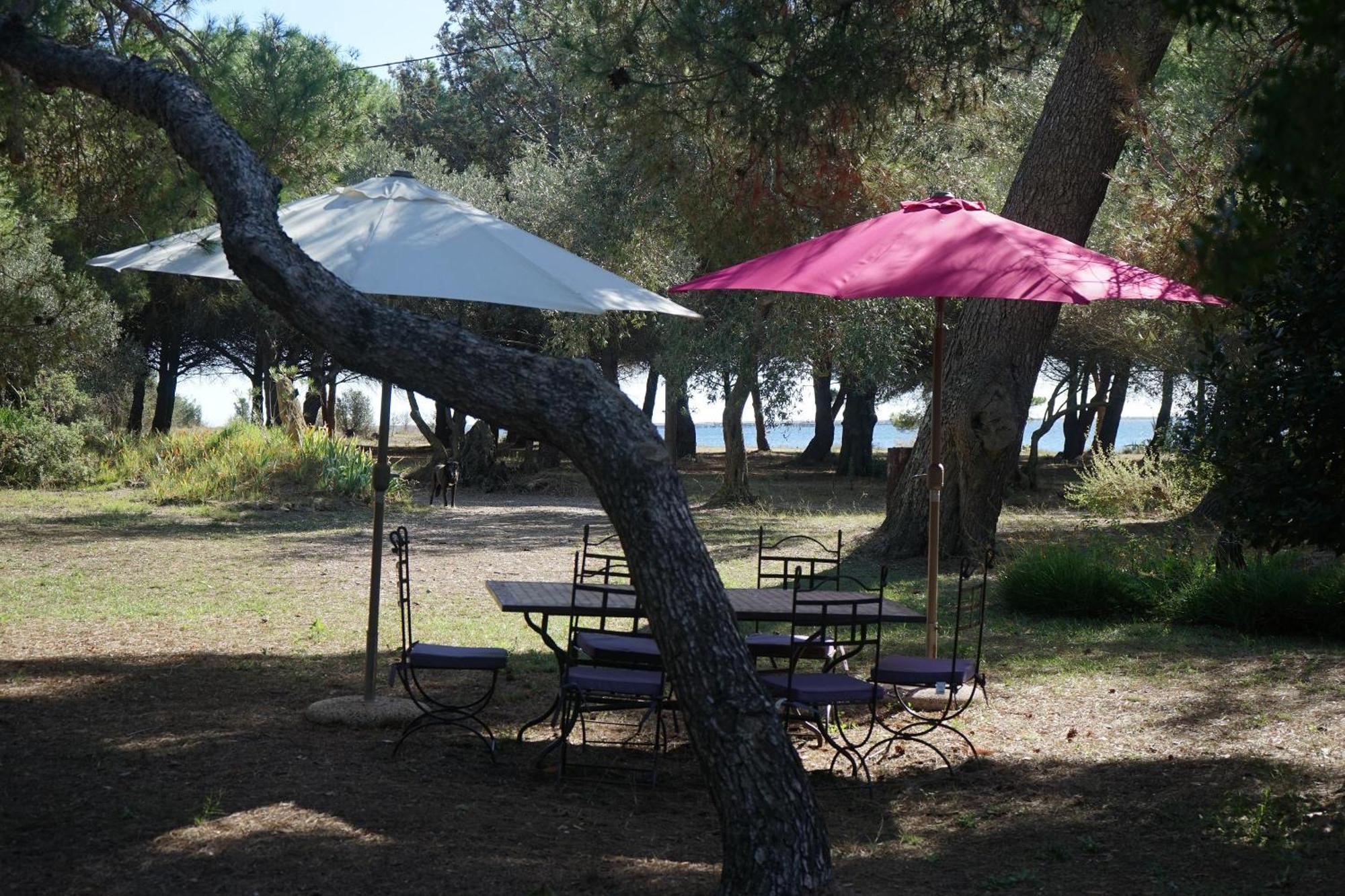 הוילה מרסיאן Joli Mas Au Bord De L'Etang De Thau מראה חיצוני תמונה
