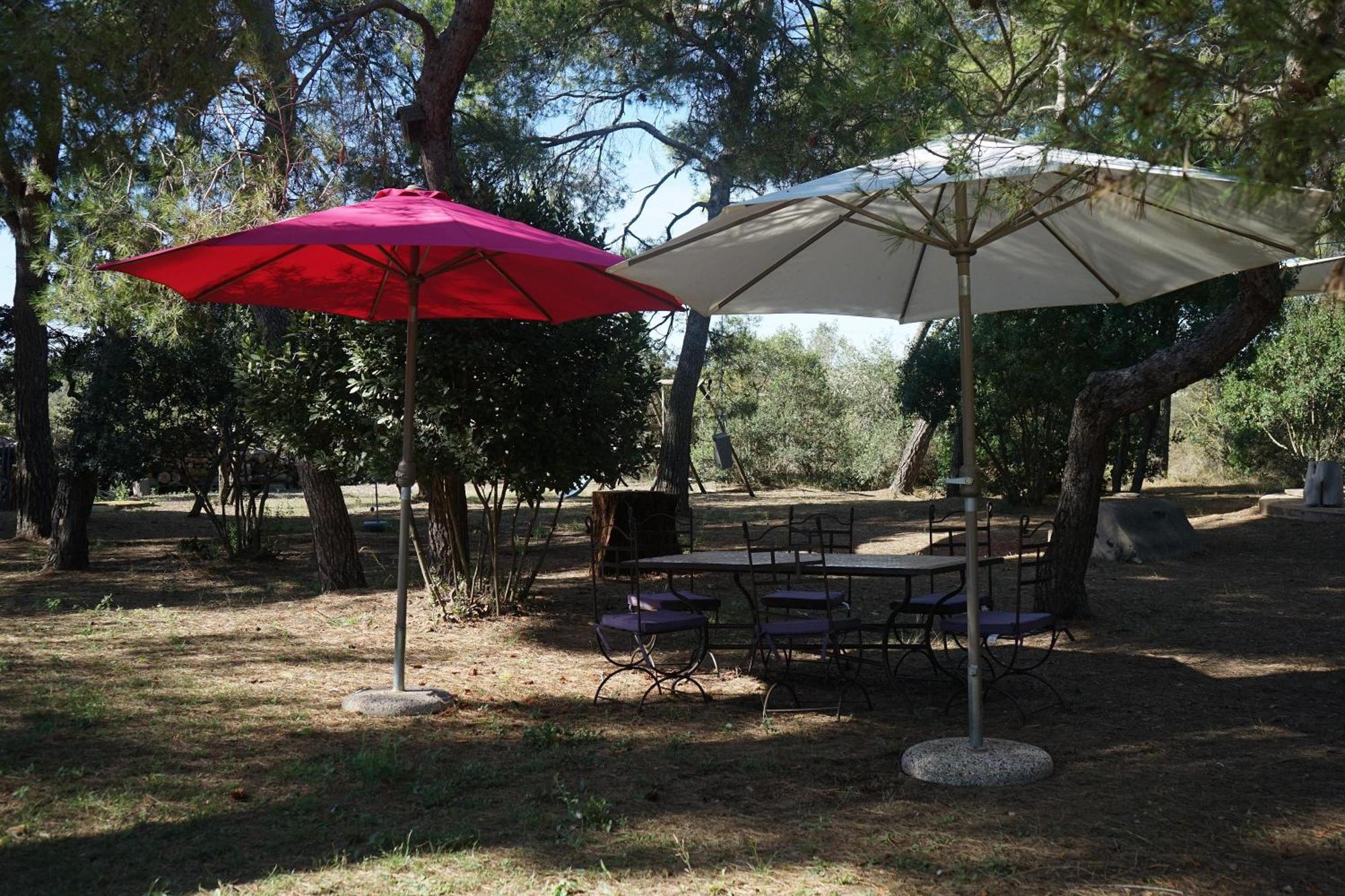 הוילה מרסיאן Joli Mas Au Bord De L'Etang De Thau מראה חיצוני תמונה
