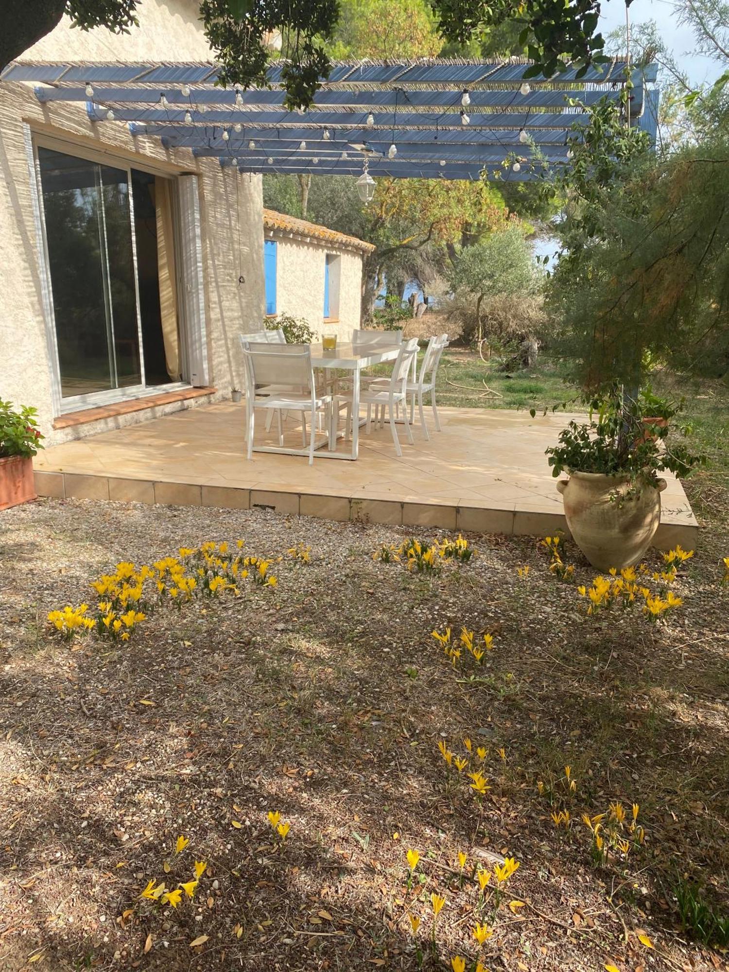 הוילה מרסיאן Joli Mas Au Bord De L'Etang De Thau מראה חיצוני תמונה